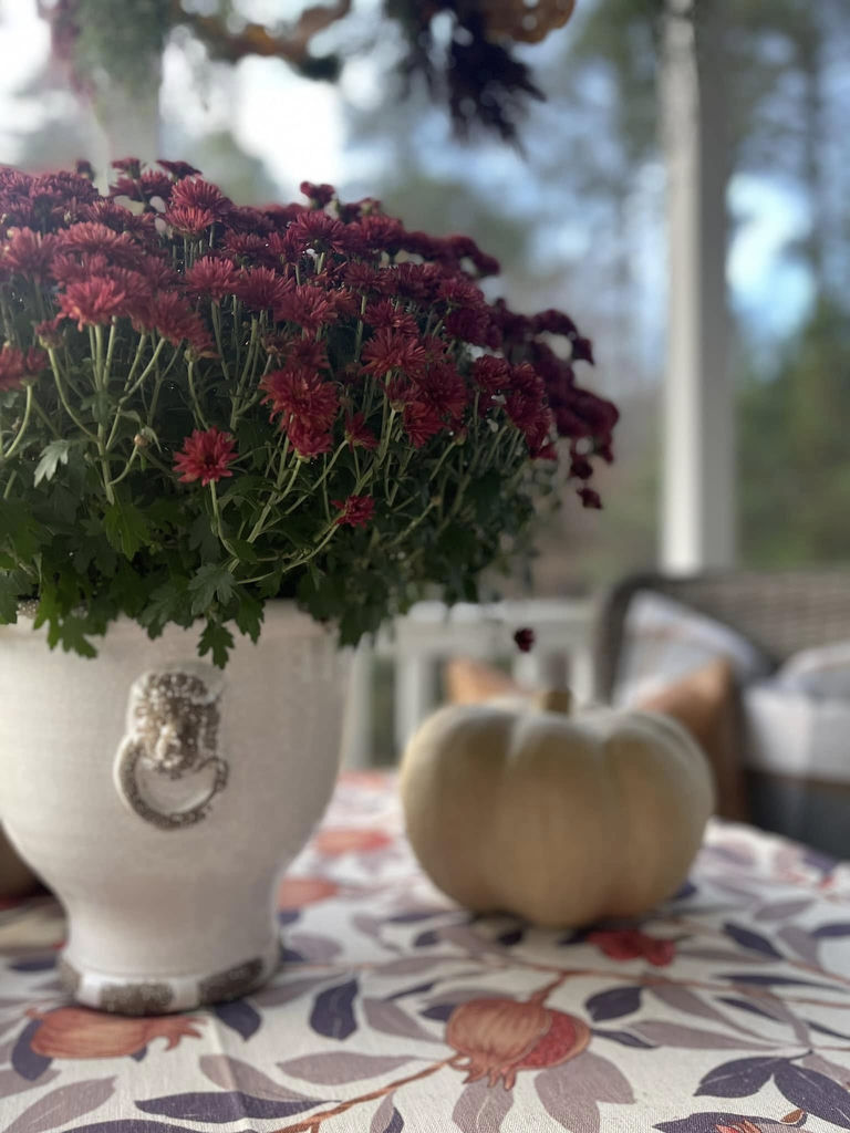 Staged living area by Cosmopolitan Interiors — Richmond VA real estate
